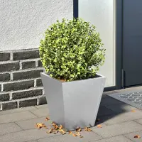 Prolenta Maison Exclusive - Bac à plantes 30x30x30 cm Acier galvanisé