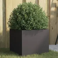 Prolenta Maison Exclusive - Bac à plantes noir 32x30x29 cm en acier