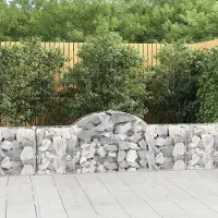 Prolenta Maison Exclusive - Paniers à gabions arqués 40 pcs 200x30x60/80 cm Fer galvanisé