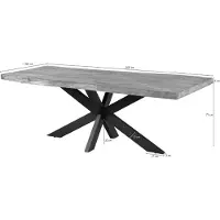 MASSIVMOEBEL24.DE MASSIVMOEBEL24 | Table à manger 200x100 Manguier laqué Beige / Anthracite mat FREEFORM 5