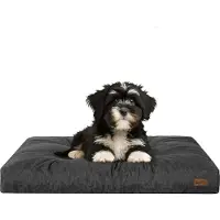 Stanis³aw Jurga Matelas pour chien "Grand Light" - 75x50cm - Lit pour chien hydrofuge - Rectangulaire - Outdoor & Indoor | PillowPrim