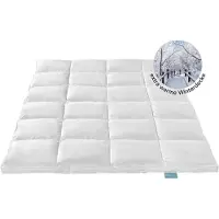 XDREAM Couette en duvet de haute qualité | extra chaude | 155 x 220 cm | 90% duvet / 10% plumes | poids de remplissage : 1100g | Nature