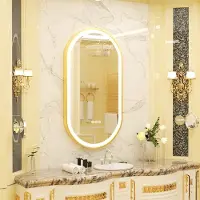 WISFOR miroir de salle de bain LED avec cadre en aluminium doré 50 x 100 cm, miroir mural avec interrupteur tactile, anti-buée gradable pour salle de bain chambre à coucher maquillage,