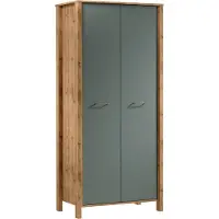 AX Living Armoire de plain-pied Iseonia S2P, chene Wotan & Green