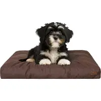 Stanis³aw Jurga Matelas pour chien "Grand Light" - 75x50cm - Lit pour chien hydrofuge - Rectangulaire - Outdoor & Indoor | PillowPrim