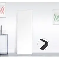 CDGlobal Miroir Grand 150x40cm miroir sur pied et miroir mural en un, miroir intégral pour le mur et le sol, miroir moderne en noir miroir pour le dressing, le salon, l'entrée et plus encore