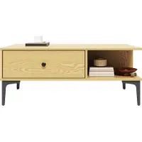 Sonni 100x55x40 cm Couleur bois Table basse avec 2 tiroirs Meuble de salon Tables de salon Matière bois Tables basses