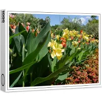 Raxxa puzzle Premium "Iris sur un parterre de fleurs", 1000 pièces