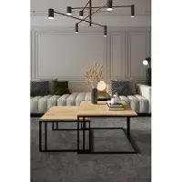 MargaretHadas24 Table basse carrée KORA 2 en 1 Table basse Table de salon Table basse Salon (noir et chêne doré)