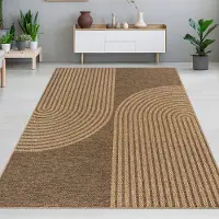 Carpetia Tapis d'intérieur et d'extérieur à motifs géométriques en arc marron beige Taille - 240 x 340 cm