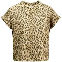 Deeluxe Celiane Short Sleeve Blouse Marron XL Femme