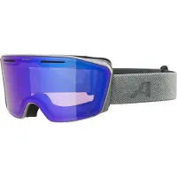 Alpina Masque de ski