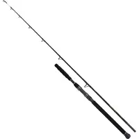 Shimano Beastmaster AX Catfish, 3m, 9,84ft, 0-400g, 2 pièces, canne à pêche au silure, Moderate Fast, SBMCAXB300