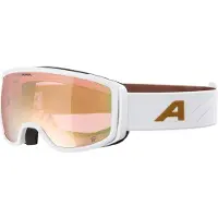 Alpina Masque de ski