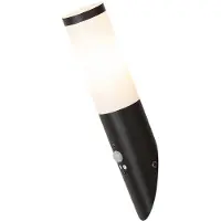 Rabalux 8146 Applique extérieure Black torch, E27, acier inoxydable, noir-blanc, moderne, IP44, 36,5cm