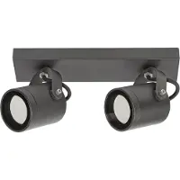 Rabalux Lampe de façade/plafond anthracite Elva pour ampoule 2x GU10 7930