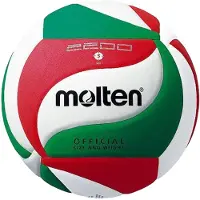Molten - Logo Volleyball PP218 (5) (blanc/rouge/vert)
