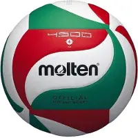 Molten - Ballon de volley-ball en cuir synthétique PP164 (5) (blanc/rouge/vert)