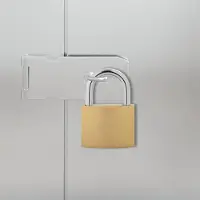 Syfax U Lock avec Clés 50 pcs Laiton Fer