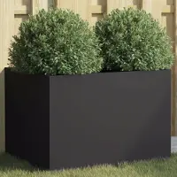 Prolenta Maison Exclusive - Bac à plantes noir 62x47x46 cm en acier