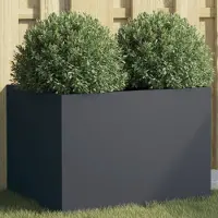 Prolenta Maison Exclusive - Bac à plantes anthracite 62x47x46 cm en acier