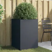 Prolenta Maison Exclusive - Bac à plantes anthracite 52x48x75 cm en acier