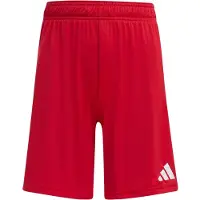 Adidas Pantalon de sport 'Entrada26' rouge sang / blanc