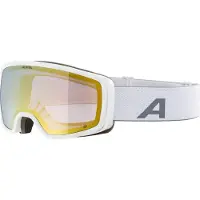 Alpina Masque de ski