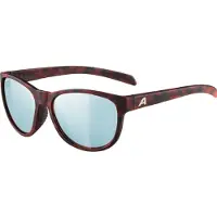 Alpina Unisexe, Lunettes de soleil, Nacan II