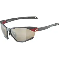 Alpina Unisexe, Lunettes de sport, Twist Six Q (Gris nuit mat, Silver), Gris