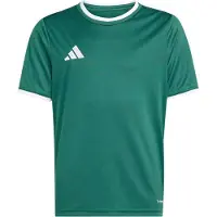 Adidas T-Shirt fonctionnel 'ENT26' vert foncé / blanc