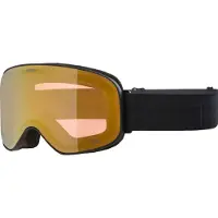 Alpina Masque de ski