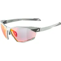 Alpina sport Unisexe, Lunettes de sport, Twist Six QV (Fumée, Rainbow), Gris