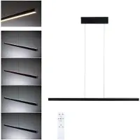 Paulmann LED Suspension Lesko avec RGBW et Tunable White Noir mat