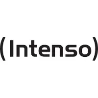 Intenso Adaptateur USB C480A - USB-C vers USB-A (lot de 3)