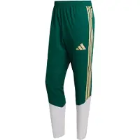 Adidas Pantalon de sport 'Italien 26 Tiro' jaune / vert / blanc