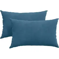 vidaXL Coussins de canapé 2 pcs Bleu 50 x 30 cm