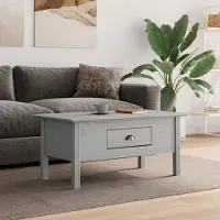 vidaXL Design New Table basse BODO Gris 100x55x46 cm Pin massif Tables basses CC83702540