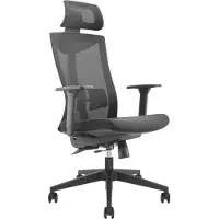 Ergo Chaise de bureau ergonomique avec roulettes et soutien lombaire Chaise pivotante Hauteur réglable Fonction d'inclinaison du dossier Chaise de bureau pouvant supporter jusqu'à 150 kg
