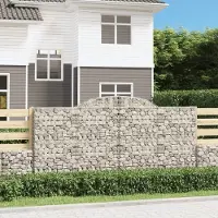 Prolenta Maison Exclusive - Paniers à gabions arqués 17 pcs 300x50x140/160 cm fer galvanisé