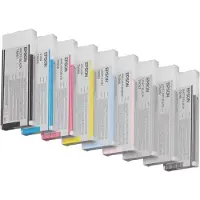 Epson C13T606940 - Noir clair léger - Cartouche d'encre