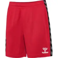 Hummel Pantalon de sport 'Authentic PL' gris foncé / rouge / noir / blanc