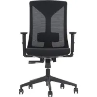 Stema Chaise de bureau pivotante ergonomique HAGER, base en nylon, accoudoirs réglables, noir, dossier en résille