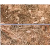 Nobby Matériau de nidification Animalis "Pelo Animale" 500 g