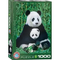 Eurographics Puzzle Panda et bébé, Pandas, 1000 pièces, 68 x 48 cm, 6000-0173