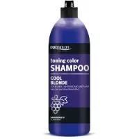 Chantal ProSalon Cool Blonde Colour Toning Shampooing pour cheveux blonds, décolorés et gris 500g