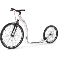 Yedoo Trexx Scooter Argenté