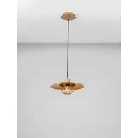 Lyora Suspension Fox or