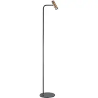 Highlight Lampadaire Trend noir avec bronze cuivré