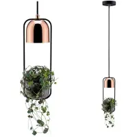 Paulmann Lampe suspendue Neordic Fanja Plants